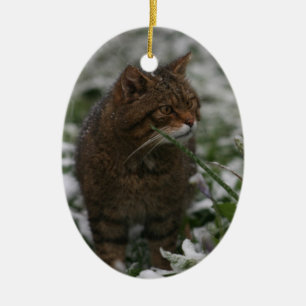 Enfeites de natal - wildcat escocês