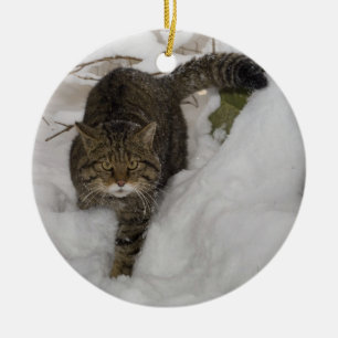 Enfeites de natal - wildcat escocês