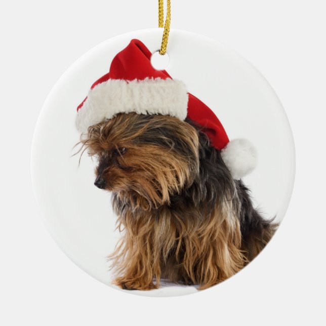Enfeites de natal Yorkie (Frente)