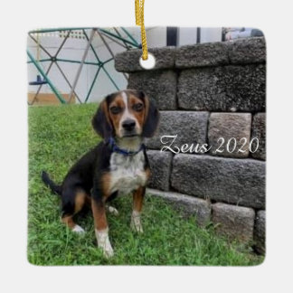 Enfeites de natal Zeus 2020