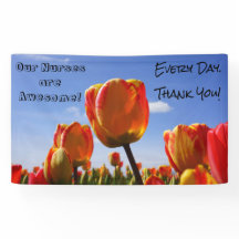 Enfermeiras da apreciação da enfermeira das