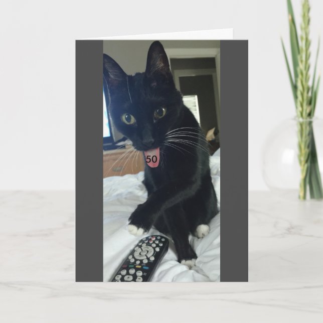 Engraçado cartão de aniversário de 50º gato (Frente)