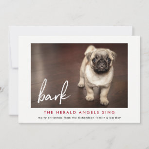 Engraçado Cartões de foto de Natal do Cachorro   V