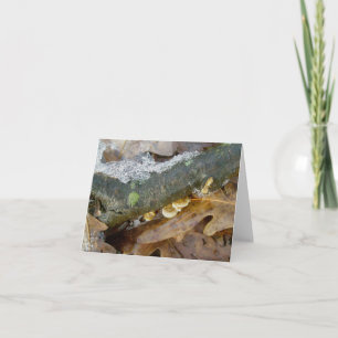 Engraçado de prateleira fina no cartão de nota d