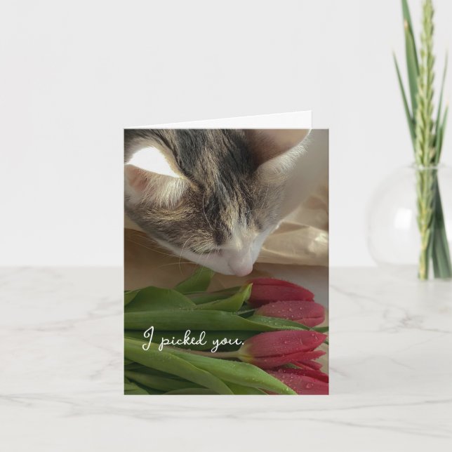Engraçado Eu Te Amo do Cartão do Gato (Frente)