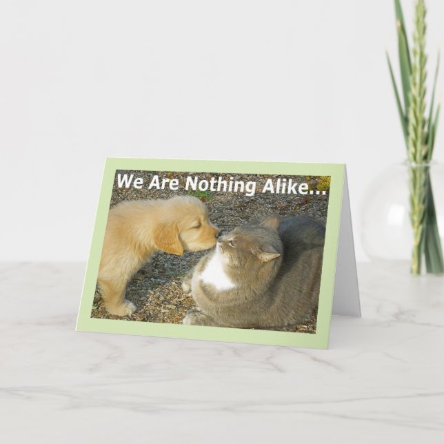 Engraçado, Gatinho Com Amor Romance Cartão Saudaçã (Frente)