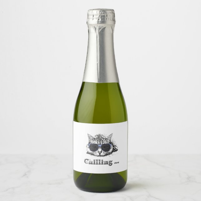 Engraçado Gato Refrigerado Com Óculos De Sol Bonit (Frente)
