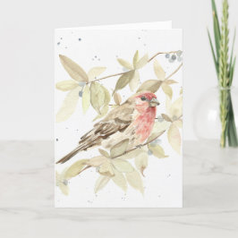 Engraçado - House Finch Happy Birthday - Cartão de
