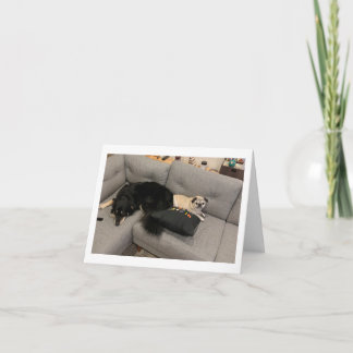 Engraçado no cartão de aniversário