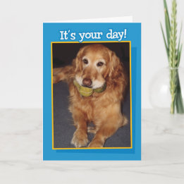 Engraçado Ouro Retriever com Cartão de Aniversário