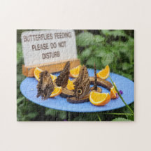 Engraçado! Quebra-cabeça - Borboletas alimentando 