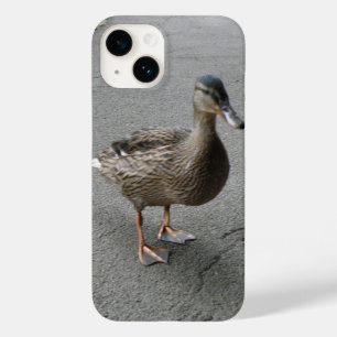 Engraçado Waddling Duck