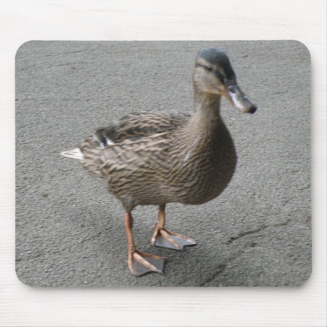 Engraçado Waddling Duck Mousepad (Frente)