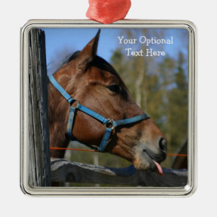 Engraçados ornamentos personalizados do Cavalo
