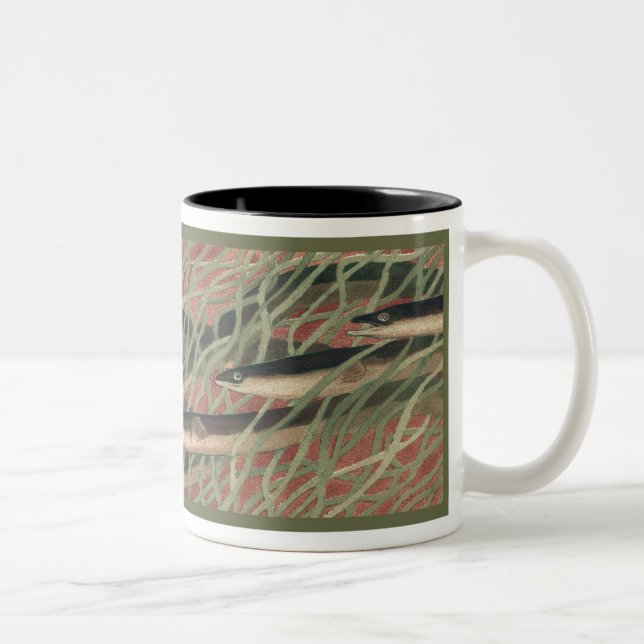Enguias - caneca de café (Direita)