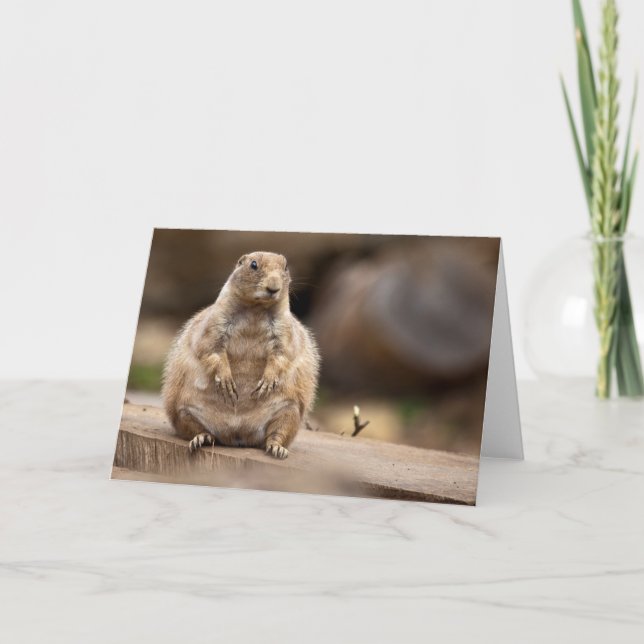 Então, estou um Pouco Curto para o meu Cartão de P (Frente)