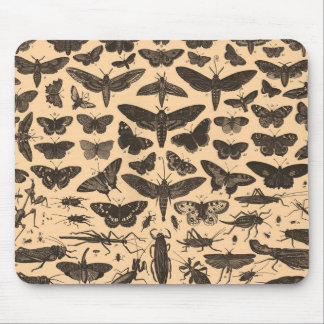 Entomologia Mousepad do vintage