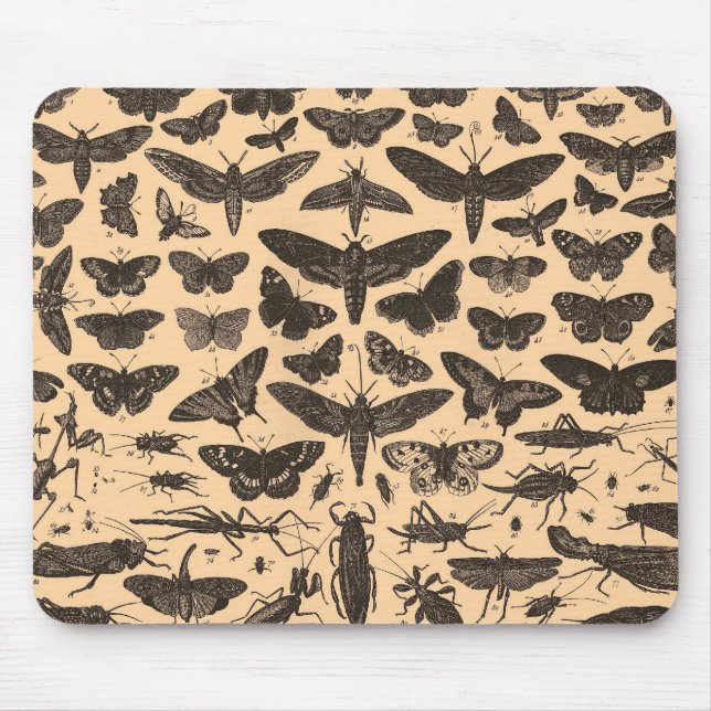 Entomologia Mousepad do vintage (Frente)