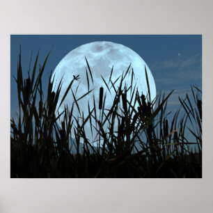 Entre a lua e o poster do pântano