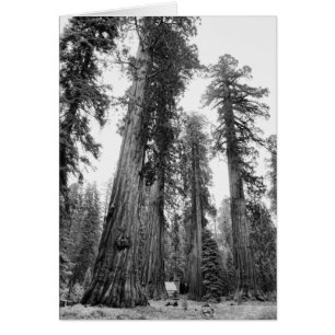 Entre o cartão de Giants