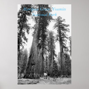 Entre os Giants poster