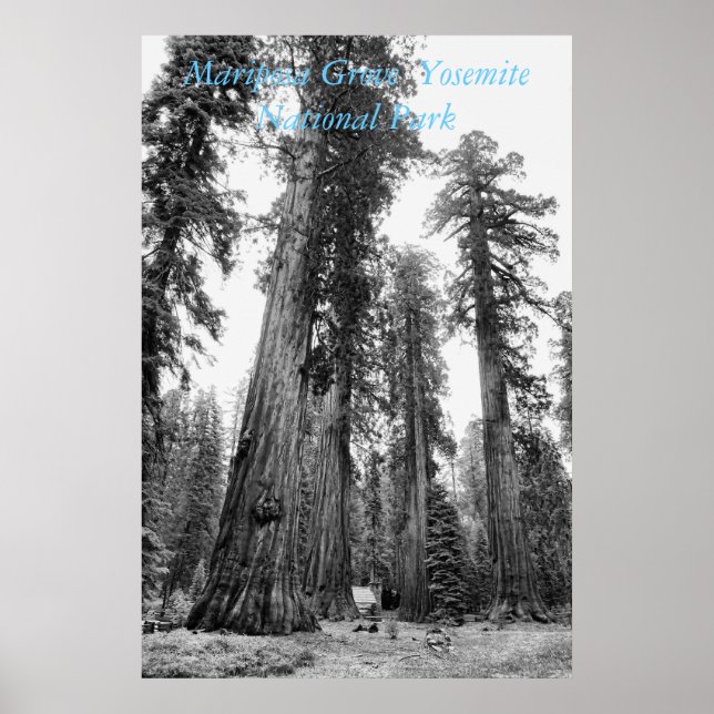 Entre os Giants poster (Frente)