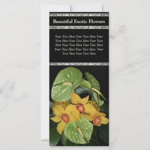 Entrega de Flor de Disposição Floral Exótica