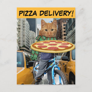 ENTREGA DE PIZZA! CARTÕES POSTAIS DE GATO DA CIDAD
