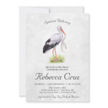 Entrega especial | Elegante Watercolor Stork Baby