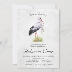 Entrega especial Elegante Watercolor Stork Baby