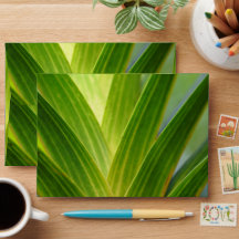 Envelope de Noiva Botânico Verde Elegante