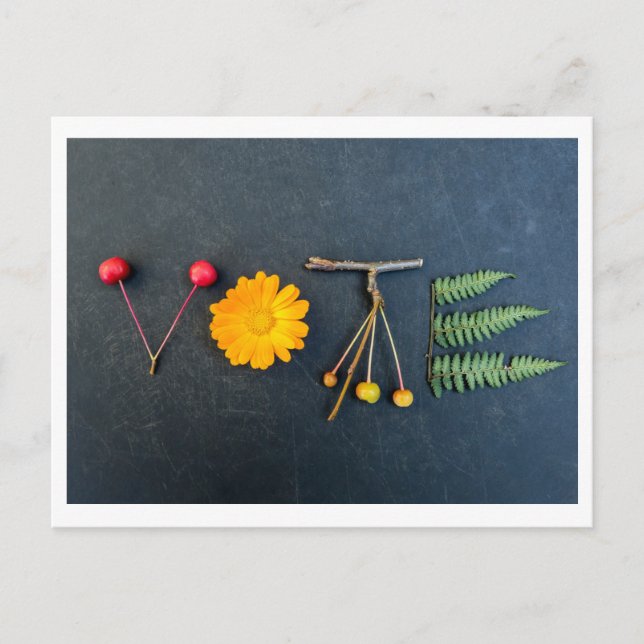 Envie o cartão postal VOTE (Frente)