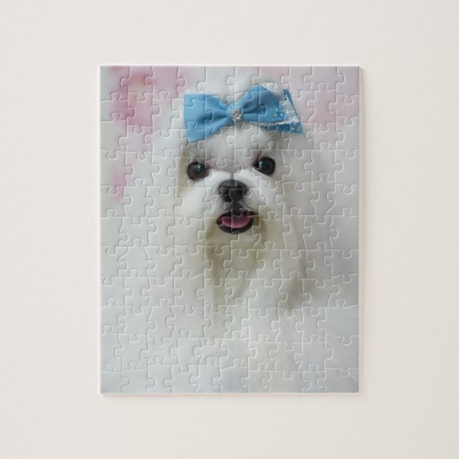 Envio de Foto de Animalzinho Quebra-Cabeça de Cach (Vertical)