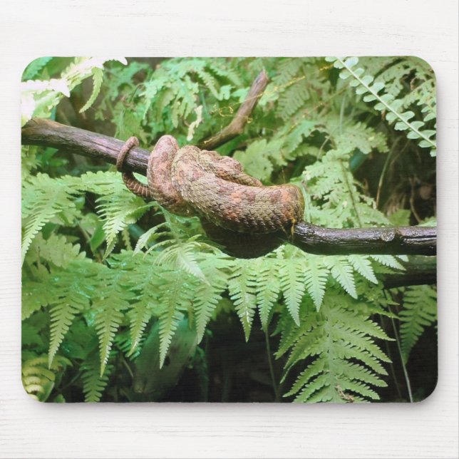 Envoltório do cobra da floresta húmida - mousepad (Frente)
