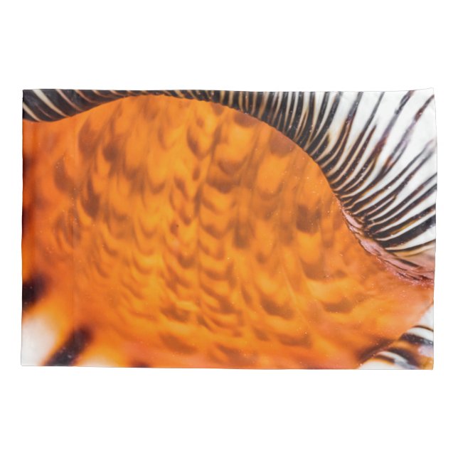 Enxertia em rede (Verso)