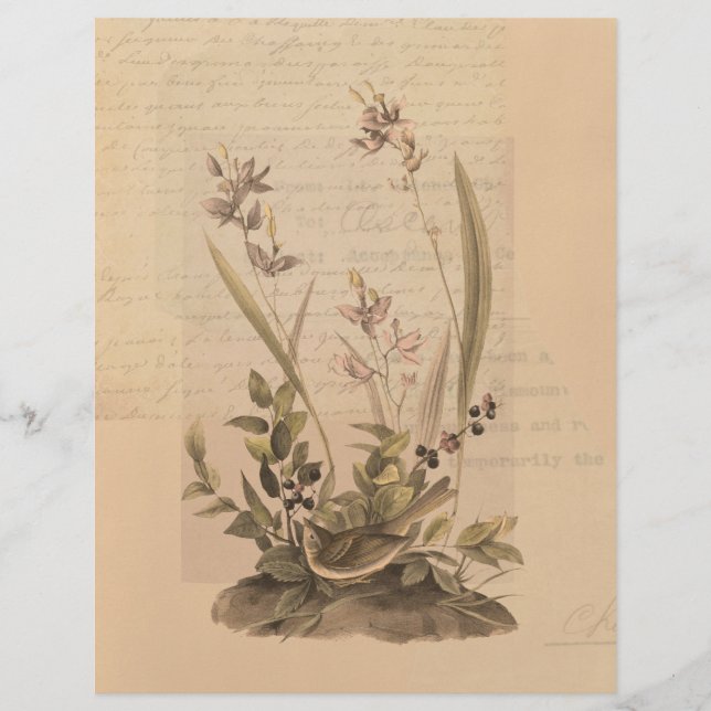 Ephemera 5 Scrapbook Paper (Frente)