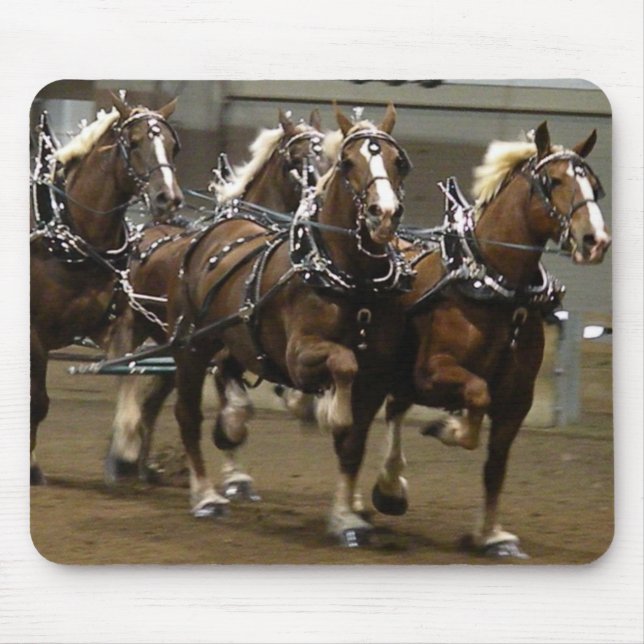 Equipe belga em harness mousepad (Frente)