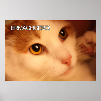 Ermahgerd Cute Orange Cat Poster
