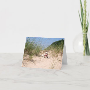 Ernie o cartão vazio de dunas de areia do macaco