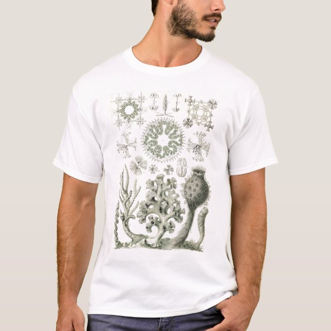 Ernst Haeckel - Camiseta Hexactinellae (Frente)