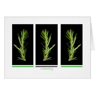 erva - cartão do rosemary
