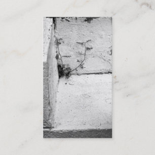 Erva na Cartão de visita de passos concretos