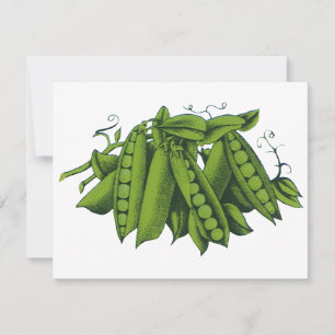 Ervilhas Frescas Vintage Sugar Snap, Alimentos, Le