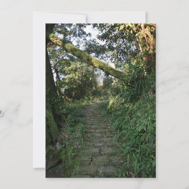 Escada até as árvores (Frente)