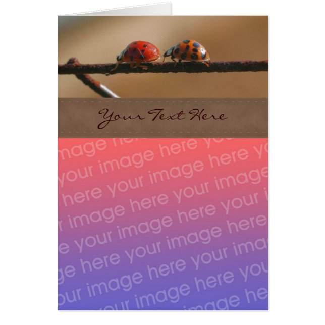 Escada de Ladybug elege seu Cartão com fotos (Frente)