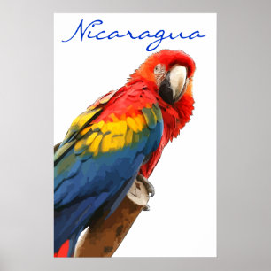 Escarlate do poster do Macaw de Nicarágua