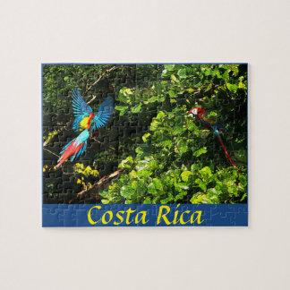 Escarlate dos Macaws da caixa do quebra-cabeça