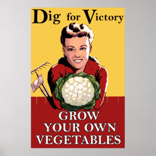 Escavação do vintage para o poster da vitória