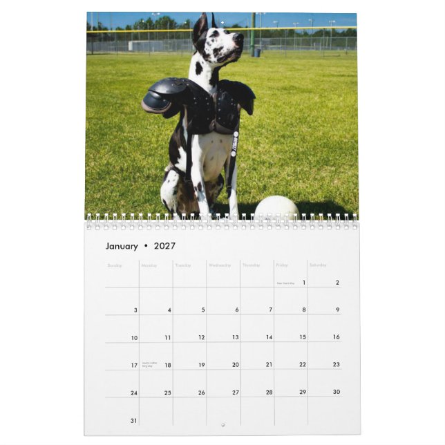Escavadora o calendário do cão da terapia (Jan 2027)