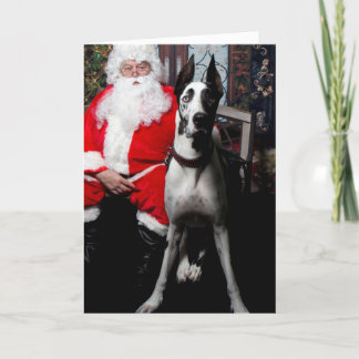 Escavadora o cão da terapia, cartões de Natal